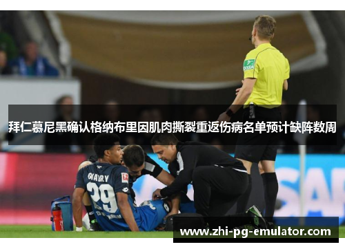 拜仁慕尼黑确认格纳布里因肌肉撕裂重返伤病名单预计缺阵数周 拜仁慕尼黑确认格纳布里因肌肉撕裂重返伤病名单预计缺阵数周